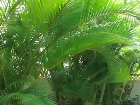 91-1028 Peekaua St, Kapolei, HI