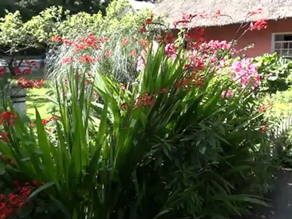 Le Burren-Falaises Moher-Comté du Kerry