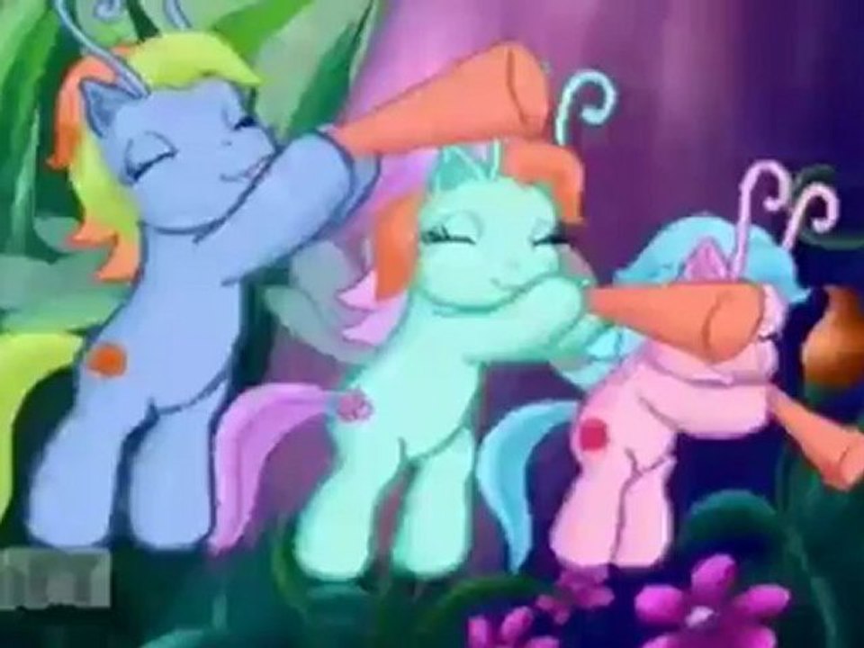 Katzen im Internet | Shift