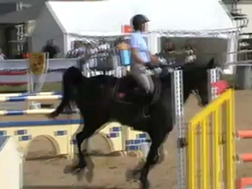 Quidam du Banney GP St Georges