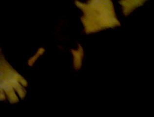 Vidéo des chiots de Bodhi-Girl & de Bully-Boy 4