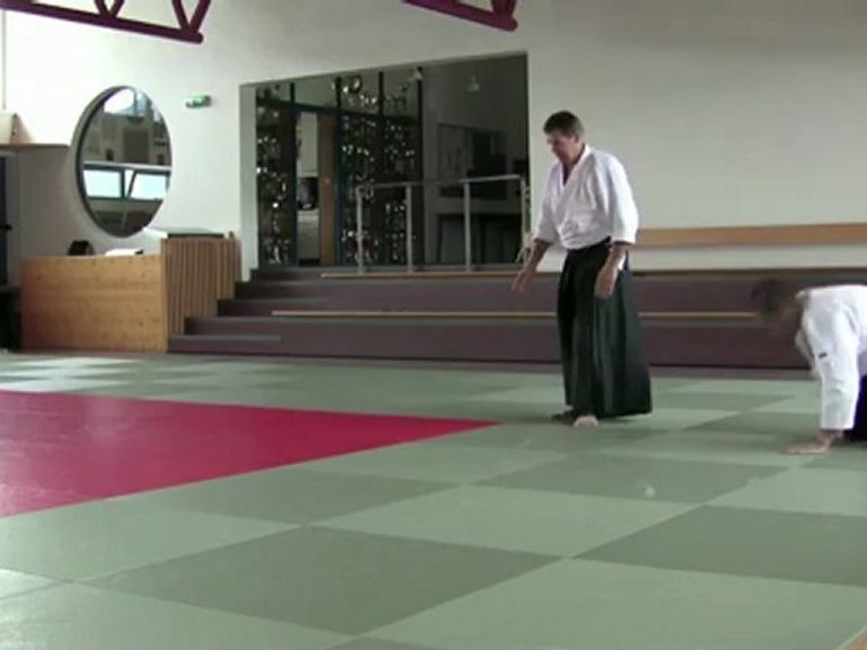 Chudan Tsuki Irimi nage Omote