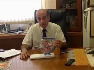 אילון לחמן - הפריה חוץ גופית