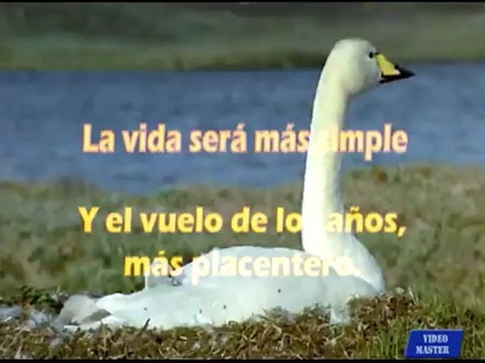 Seamos_Gansos