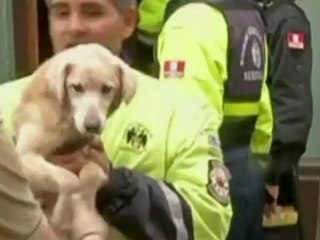 Historic building collapses in Peru