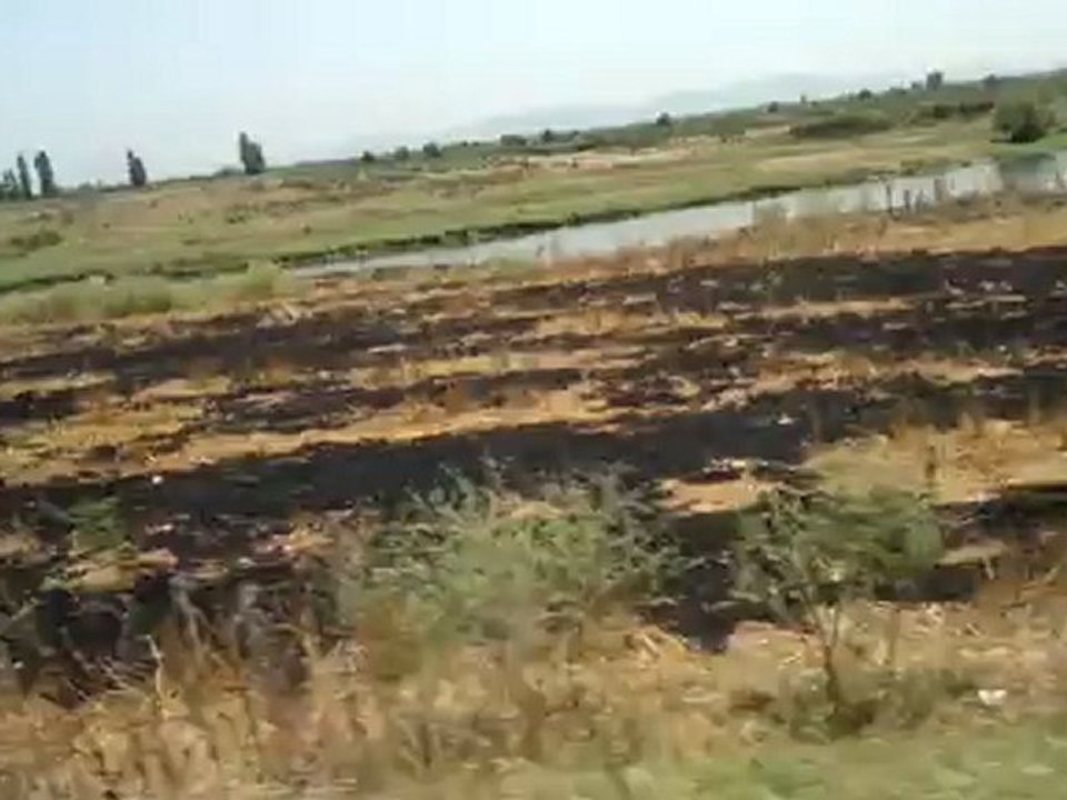 Veli Tuna Güneş & Osman Arda Güneş 17062012