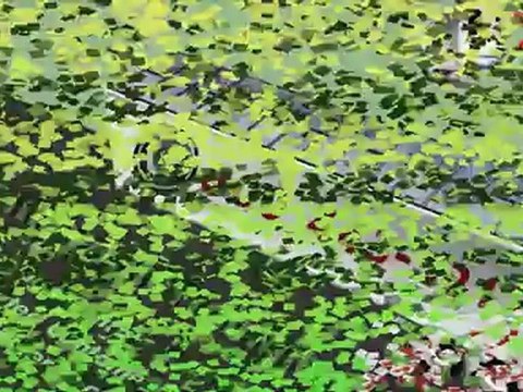 Refridgerated Containers Rentals (800) 443-5212