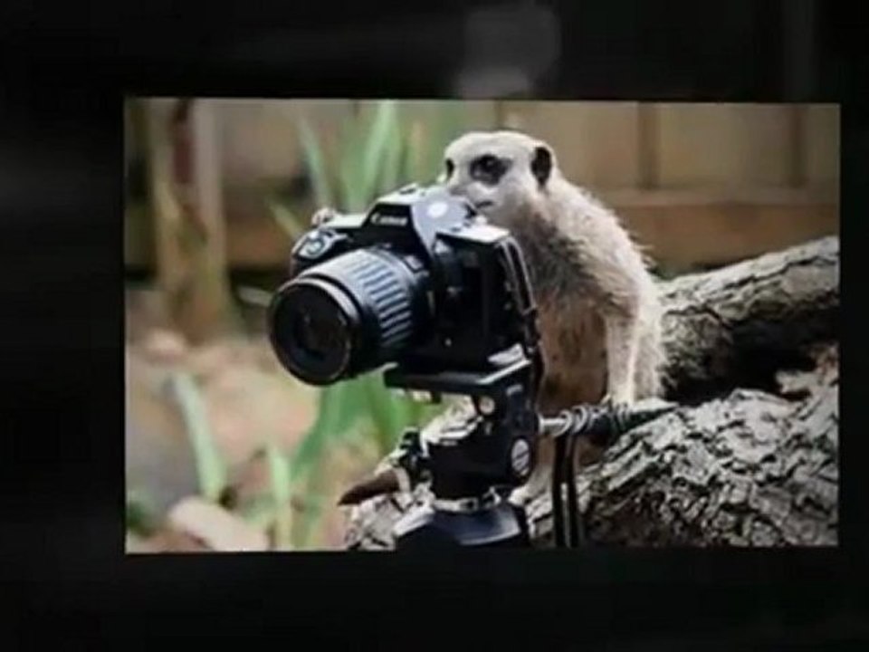 Las Mejores Cámaras Compactas 2012