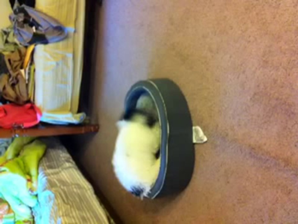 hulky hyper