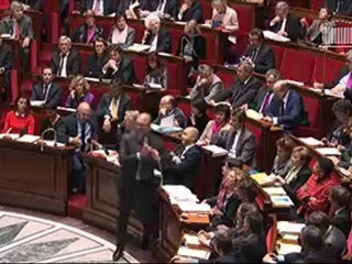 Questions au Gouvernement - Réponse de Pierre Moscovici à Franck Riester [06 novembre 2012]