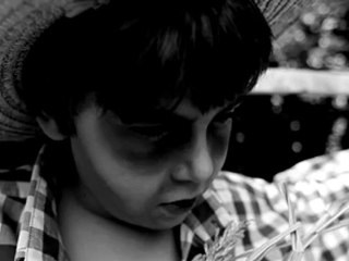 Solitaire - Tapir gets angry