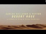 Carlos Gallardo & Peyton - Desert Rose (Official Teaser)
