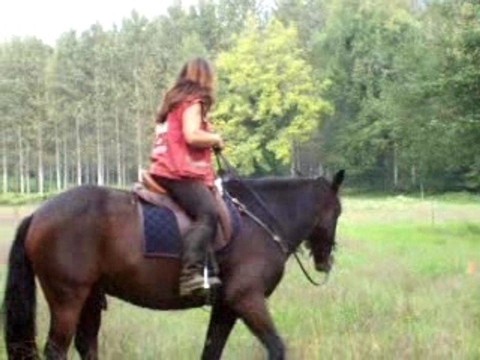 TREC 002