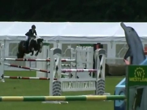 Poney niveau international sur parcours 120