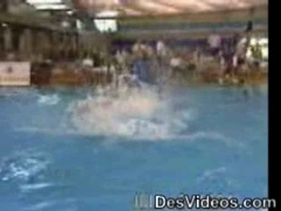 double saut perilleux