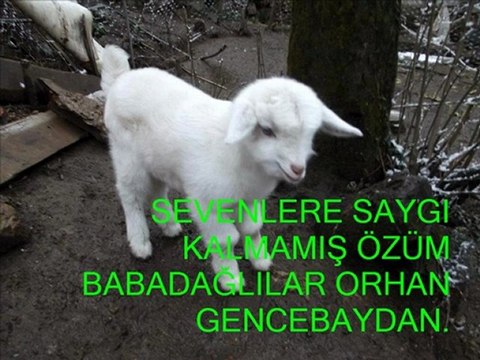 SEVENLERE SAYGI KALMAMIŞ.