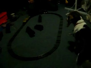 My dog Blue playing with my boyfriends train set