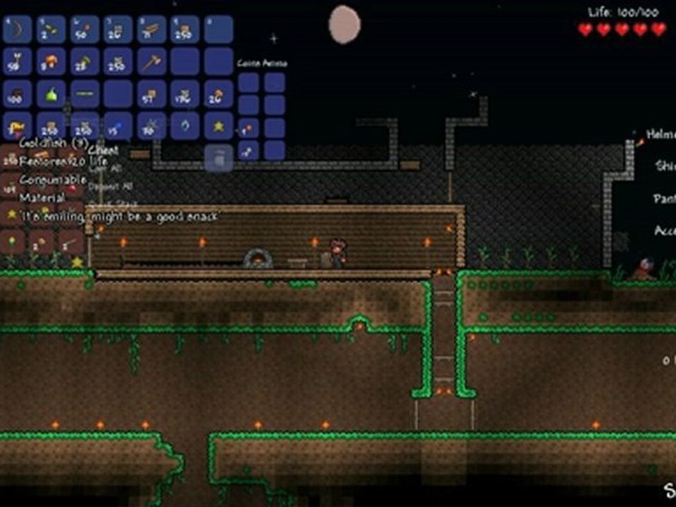 Terraria 10