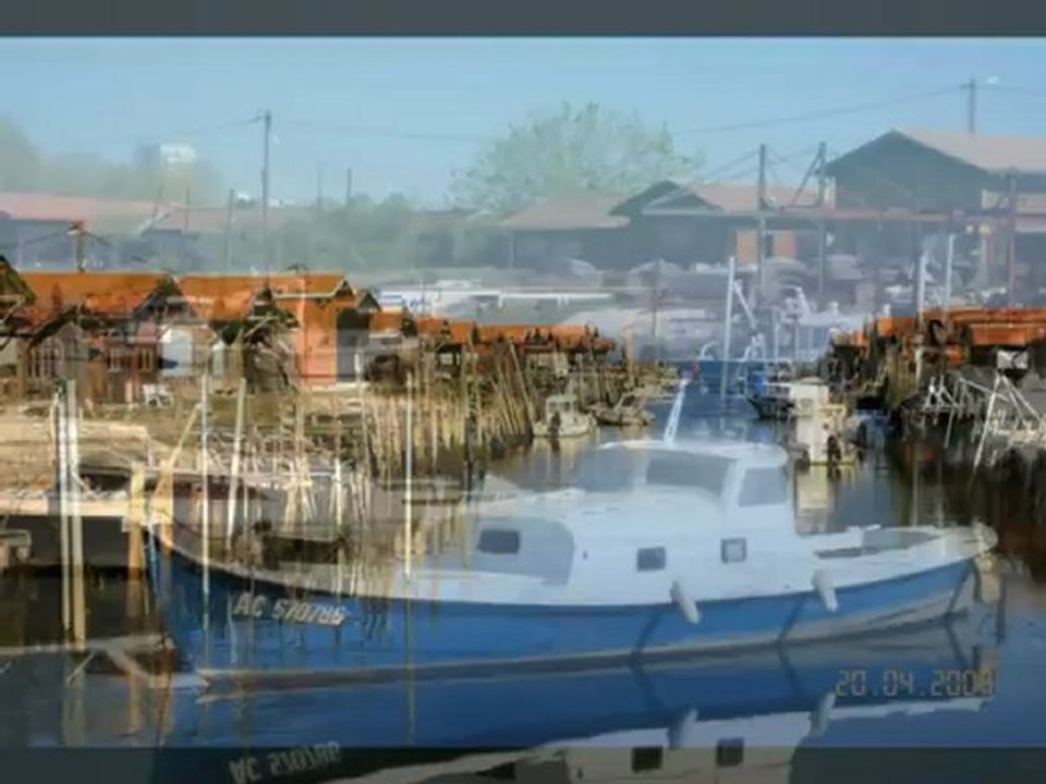 le bassin d'arcachon