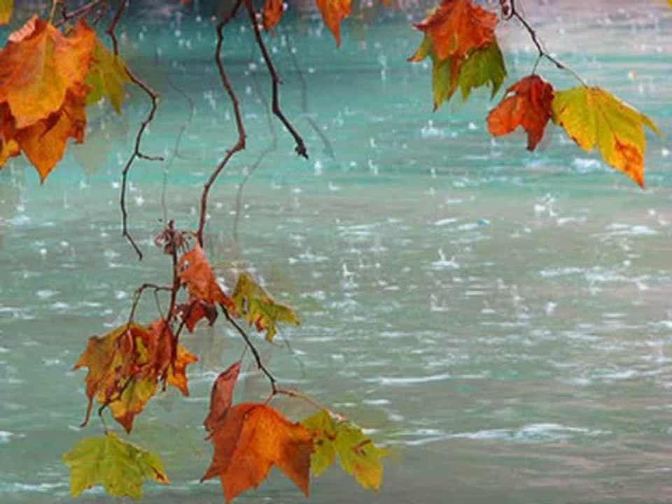 Se le cose stanno cosi-Sergio Endrigo