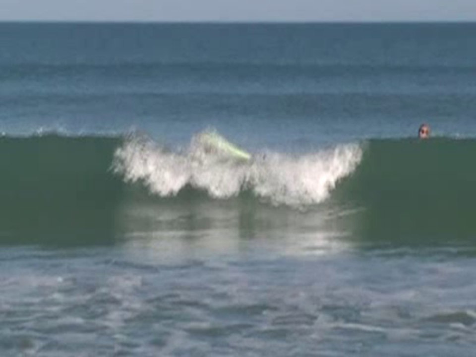 Doggy Surfing Bloopers!