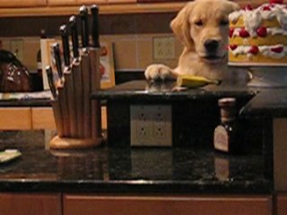 Caught in the Act