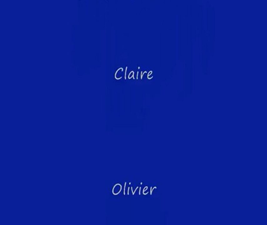 Cérémonie du 11 Novembre 2012 à DAX