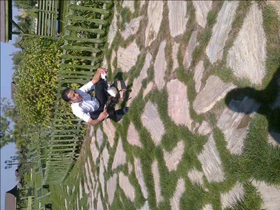 ferdi tayfur merak etme sen