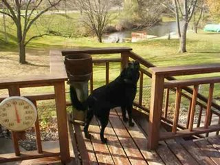 Kelly: First Saturday every month weather siren