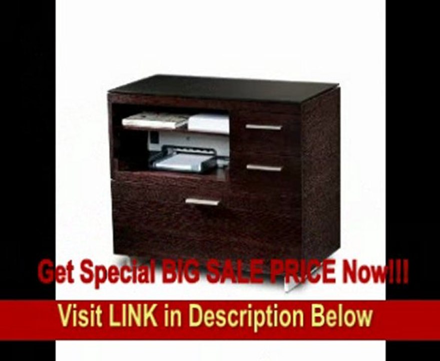 BDI Sequel Multifunction Cabinet - Espresso Stained Oak REVIEW
