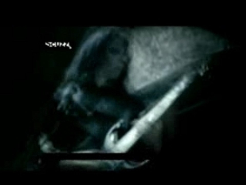 Cradle Of Filth - "Nymphetamine"