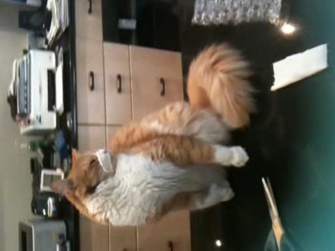 charlie and double sided tape