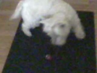 Maggie and an avocado pit...