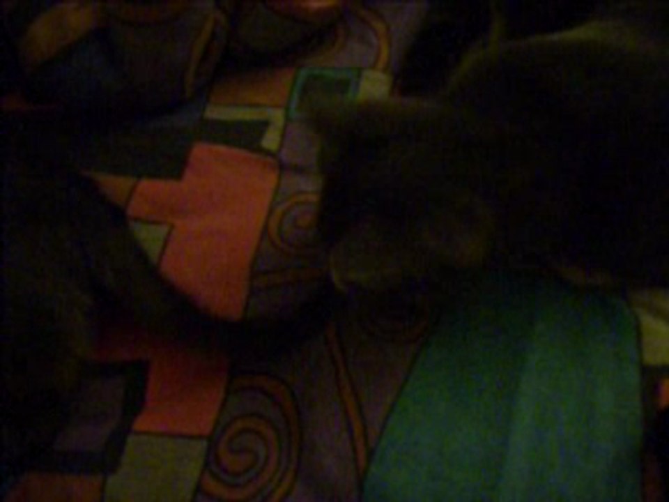 Catch the tail!
