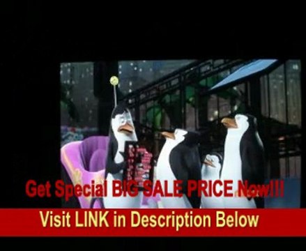 Elite Screens R100WH1-A1080P2 ezFrame Fixed Projection Screen (100 16:9 AR)(AT) REVIEW