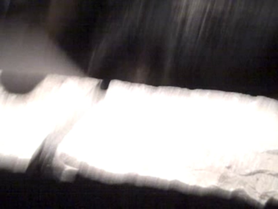 Dog takes annoying girls shoes