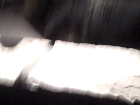 Dog takes annoying girls shoes