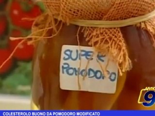 Pensa alla Salute | Colesterolo buono da pomodoro modificato
