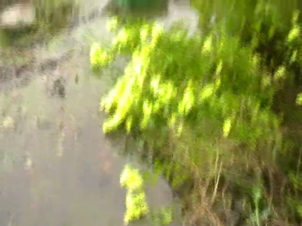 Inondation du rieu à Slack