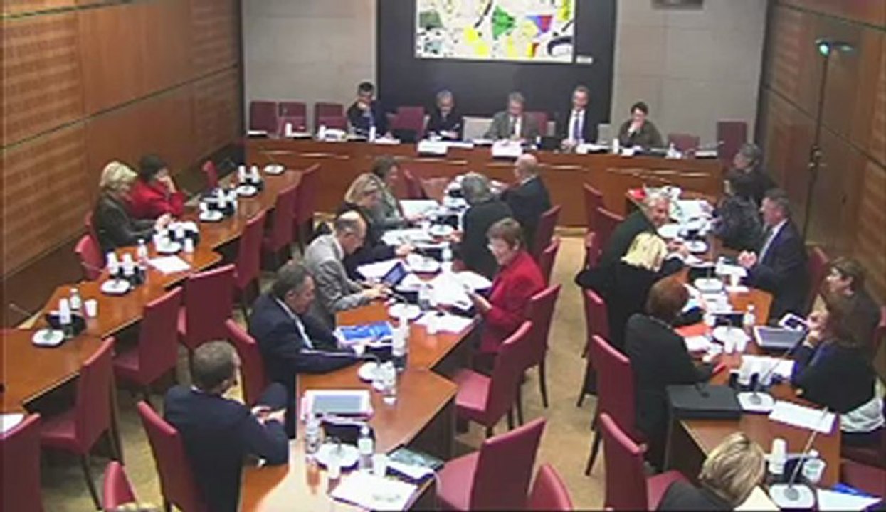 Intervention d'Hervé Féron en commission des Affaires Culturelles sur les crédits de la mission Sport, Jeunesse et Vie Associative (6 novembre 2012)