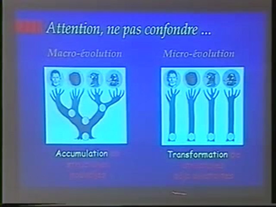 l'age biblique de la terre 4