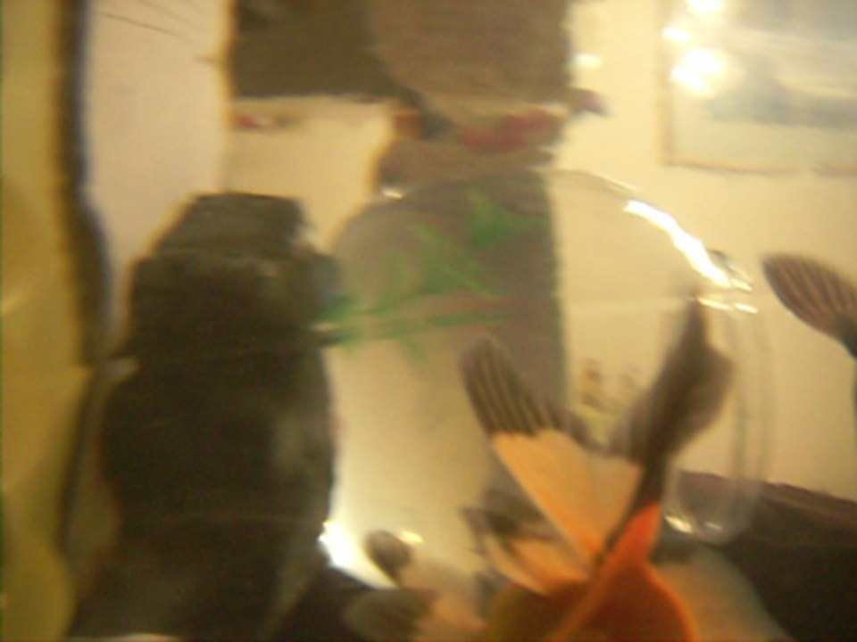 My fish
