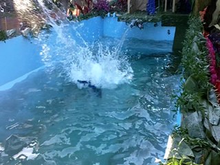 Natural Balance 2011 Rose Parade Float