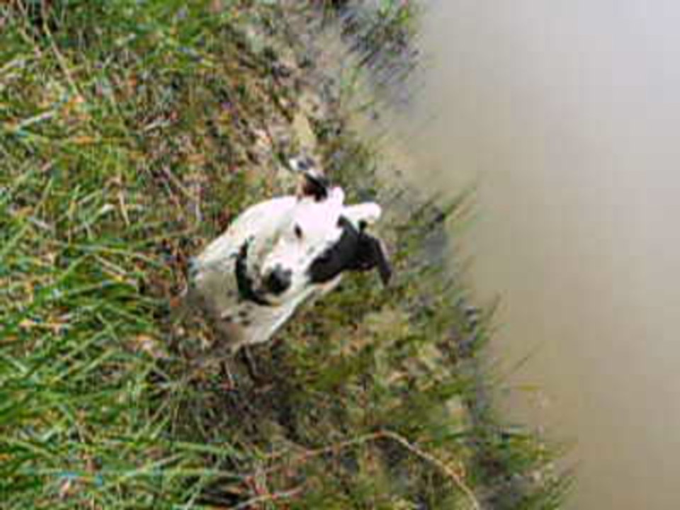 Fishing with Buster again