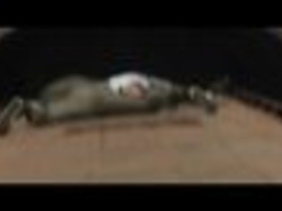 'Skyfall' Trailer