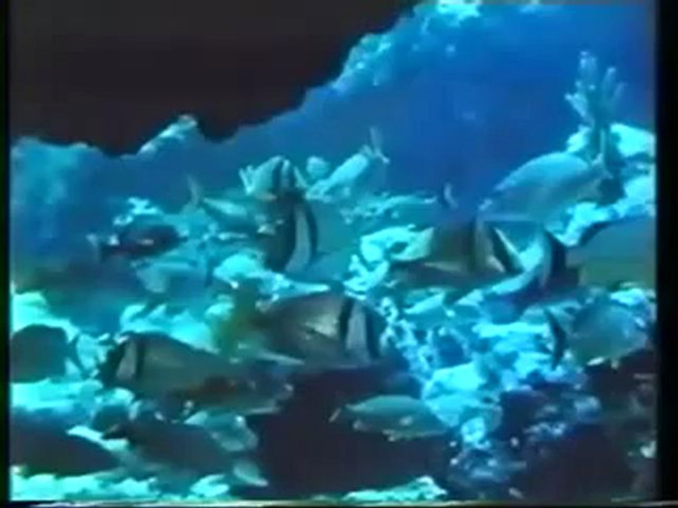 la voix des profondeurs 1