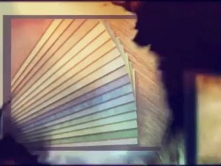 Team Green Carpet Clean Inc - (813) 699-0072