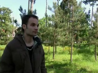 LES CHIENS DU MACADAM - Version courte 5'