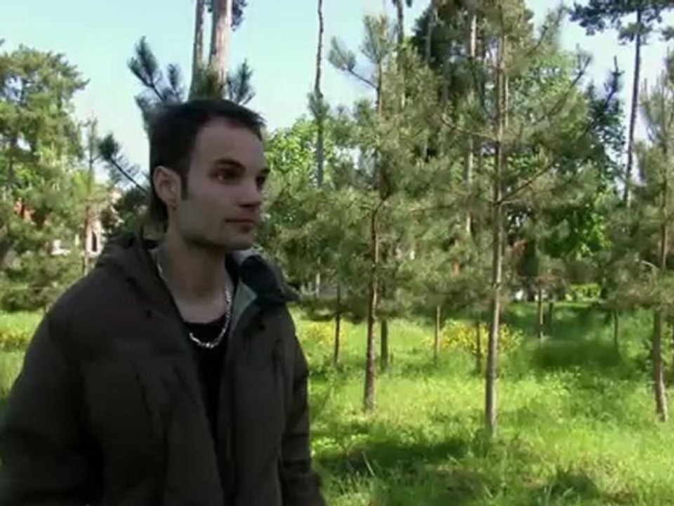 LES CHIENS DU MACADAM - Version courte 5'