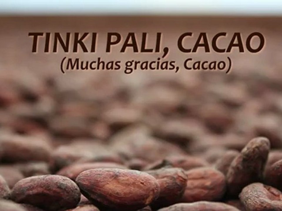 Tinki Pali, Cacao (muchas gracias, Cacao). Documental sobre el enfoque de cadena de valor en el cacao en Honduras. PYMERURAL, 2012.